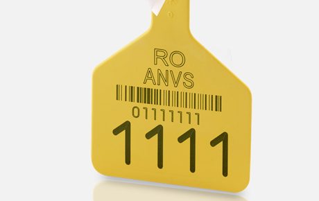 CO2 Laser Marking Samples
